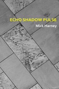 Echo Shadow Pulse