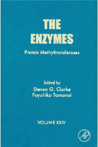 Enzymes