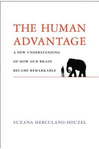 Human Advantage: A New Understanding of How Our Brain Became Remarkable