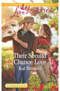 Their Second Chance Love