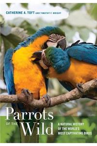 Parrots of the Wild