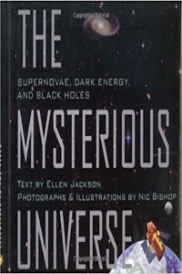 The Mysterious Universe: Supernovae, Dark Energy, and Black Holes