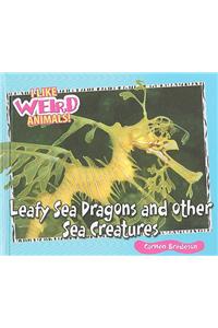 Leafy Sea Dragons and Other Weird Sea Creatures