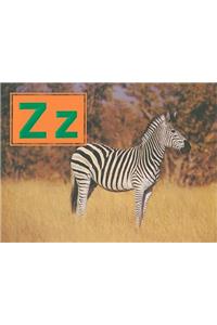 Zz