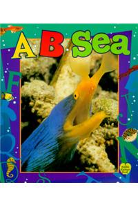 A...B...Sea