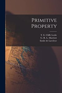 Primitive Property