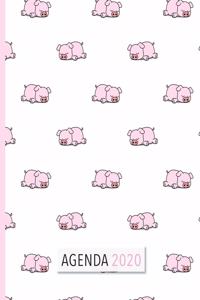 Agenda 2020