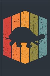 Retro Turtle Notebook - Gift for Turtle Lovers - Vintage Turtle Journal - Turtle Diary for Boys and Girls