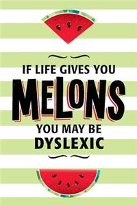 Watermelon Lined Journal Notebook With Funny Quote