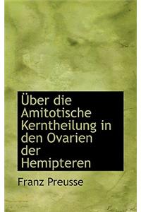Uber Die Amitotische Kerntheilung in Den Ovarien Der Hemipteren