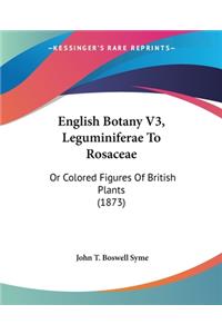 English Botany V3, Leguminiferae To Rosaceae