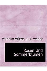 Rosen Und Sommerblumen