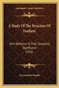 Study Of The Structure Of Feathers