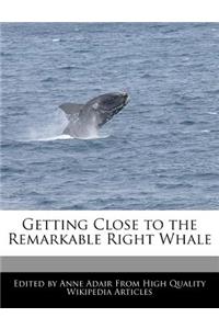 Getting Close to the Remarkable Right Whale