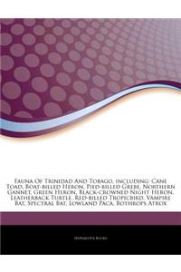 Articles on Fauna of Trinidad and Tobago, Including: Cane Toad, Boat-Billed Heron, Pied-Billed Grebe, Northern Gannet, Green Heron, Black-Crowned Nigh