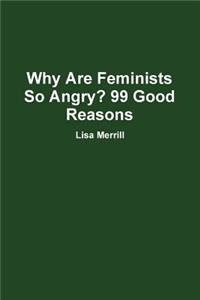 Why are Feminists So Angry? 99 Good Reasons