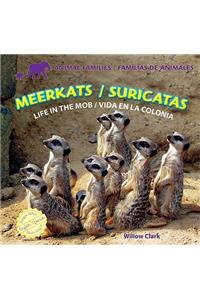 Meerkats: Life in the Mob / Suricatas: Vida En La Colonia