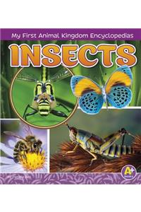 Insects