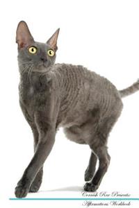 Cornish Rex Affirmations Workbook Cornish Rex Presents