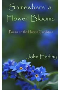 Somewhere A Flower Blooms