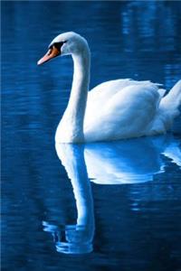 Swan Journal