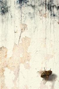 A Fly on the Wall Grid Notebook