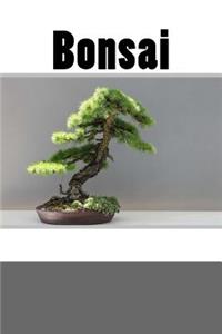 Bonsai (Journal / Notebook)