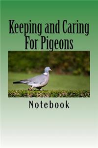 Keeping and Caring For Pigeons