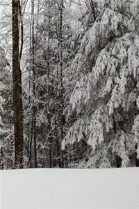 Beautiful Winter Season Journal
