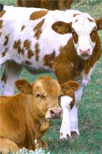 Cute Brown and White Cows in a Meadow Journal