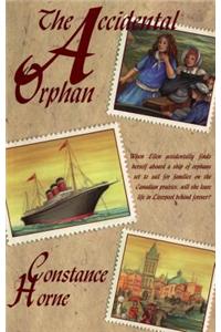 The Accidental Orphan