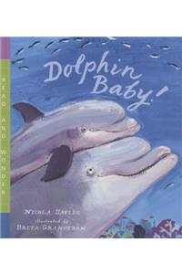 Dolphin Baby!