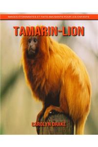 Tamarin-Lion