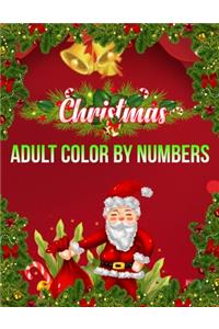 Christmas Adult Color By Numbers
