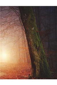 Haunted Forest Trees Spooky Ghost Ghostly Path Loneliness Haunting Creepy Spirit