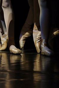 Ballet Pointe Shoes
