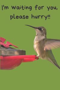 Hummingbird Blank Lined Journal