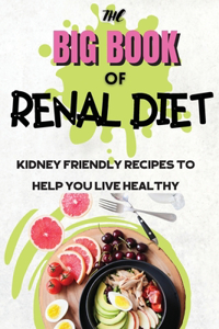 The Big Book Of Renal Diet