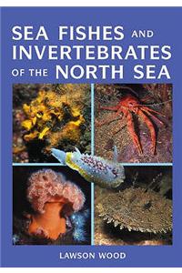 Sea Fishes and Invertebrates of the North Sea