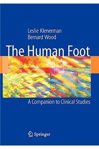 Human Foot