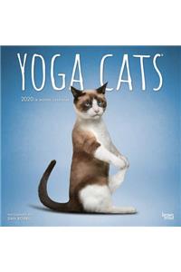 Yoga Cats 2020 Square