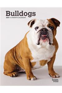 Bulldogs 2021 Engagement