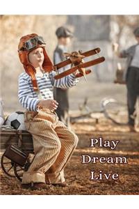 Play Dream Live: Discreet Internet Website Password Notebook, Large Print Book, 8 1/2