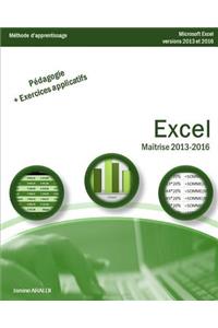 Excel Maîtrise 2013 - 2016