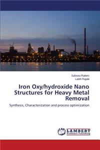 Iron Oxy/hydroxide Nano Structures for Heavy Metal Removal