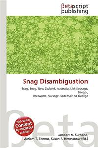 Snag Disambiguation