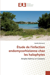 Étude de l'infection endomycorhizienne chez les halophytes