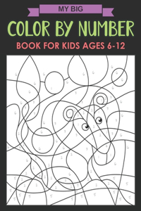 My Big Color By Number Book