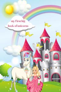 My first big book of unicorns