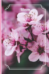 Bloom
